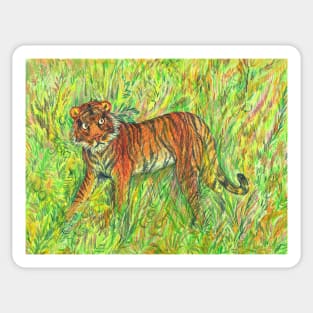 Tiger in Green Jungle Sticker
